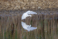 /album/foto-adriano/58a6288-copia-jpg/